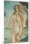 The Birth of Venus-Sandro Botticelli-Mounted Giclee Print