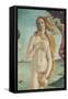 The Birth of Venus-Sandro Botticelli-Framed Stretched Canvas