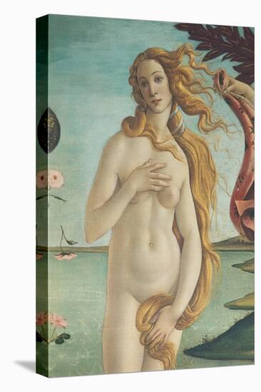 The Birth of Venus-Sandro Botticelli-Stretched Canvas