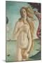 The Birth of Venus-Sandro Botticelli-Mounted Premium Giclee Print