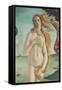 The Birth of Venus-Sandro Botticelli-Framed Stretched Canvas