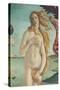 The Birth of Venus-Sandro Botticelli-Stretched Canvas