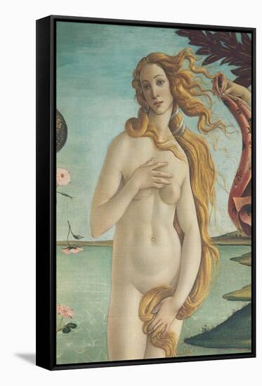 The Birth of Venus-Sandro Botticelli-Framed Stretched Canvas