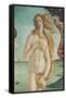 The Birth of Venus-Sandro Botticelli-Framed Stretched Canvas