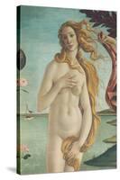 The Birth of Venus-Sandro Botticelli-Stretched Canvas