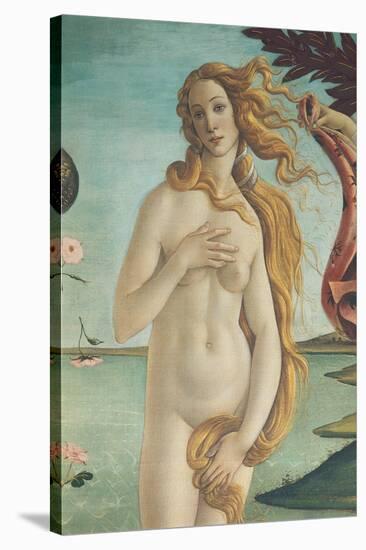 The Birth of Venus-Sandro Botticelli-Stretched Canvas