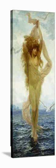 The Birth of Venus-Robert Fowler-Stretched Canvas