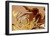 The Birth-Rabi Khan-Framed Art Print