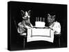 The Birthday Cake, 1914-Science Source-Stretched Canvas