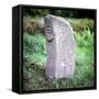 The Bishops Stone, Killadeas, Co.Fermanagh, Ireland-CM Dixon-Framed Stretched Canvas