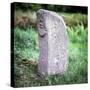 The Bishops Stone, Killadeas, Co.Fermanagh, Ireland-CM Dixon-Stretched Canvas