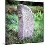 The Bishops Stone, Killadeas, Co.Fermanagh, Ireland-CM Dixon-Mounted Photographic Print