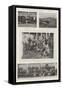 The Bisley Meeting of 1901, Winners and Competitors-null-Framed Stretched Canvas