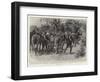 The Bisley Meeting, the Mounted Scouts Competition-Frank Dadd-Framed Giclee Print