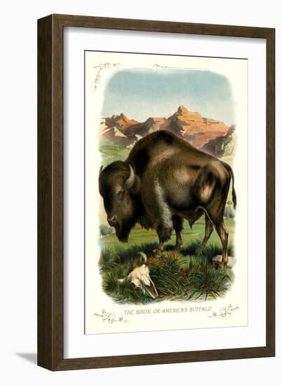 The Bison-null-Framed Art Print