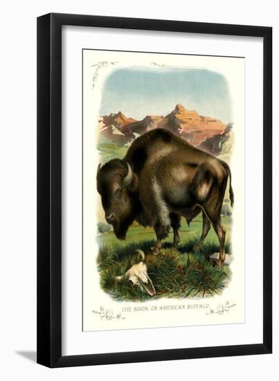 The Bison-null-Framed Art Print