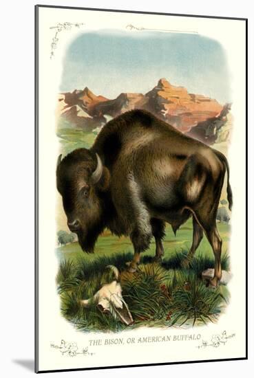 The Bison-null-Mounted Art Print