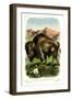 The Bison-null-Framed Art Print