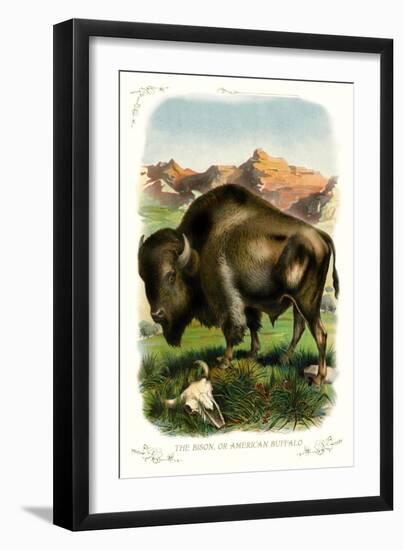 The Bison-null-Framed Art Print