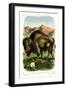 The Bison-null-Framed Art Print