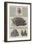 The Blacas Collection at the British Museum-null-Framed Premium Giclee Print