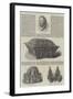 The Blacas Collection at the British Museum-null-Framed Giclee Print