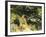 The Black Brook-John Singer Sargent-Framed Giclee Print