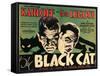 The Black Cat, 1934-null-Framed Stretched Canvas