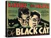 The Black Cat, 1934-null-Stretched Canvas
