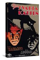 The Black Cat, (aka Den Svarta Katten), Boris Karloff, Bela Lugosi, 1934-null-Stretched Canvas