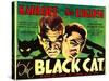 The Black Cat, Boris Karloff, Bela Lugosi, 1934-null-Stretched Canvas