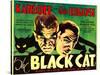 The Black Cat, Boris Karloff, Bela Lugosi, 1934-null-Stretched Canvas