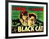 The Black Cat, Boris Karloff, Bela Lugosi, 1934-null-Framed Art Print