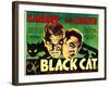 The Black Cat, Boris Karloff, Bela Lugosi, 1934-null-Framed Art Print