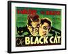 The Black Cat, Boris Karloff, Bela Lugosi, 1934-null-Framed Art Print