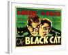 The Black Cat, Boris Karloff, Bela Lugosi, 1934-null-Framed Photo