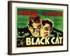 The Black Cat, Boris Karloff, Bela Lugosi, 1934-null-Framed Photo