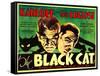 The Black Cat, Boris Karloff, Bela Lugosi, 1934-null-Framed Stretched Canvas