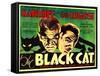 The Black Cat, Boris Karloff, Bela Lugosi, 1934-null-Framed Stretched Canvas