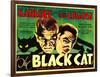 The Black Cat, Boris Karloff, Bela Lugosi, 1934-null-Framed Photo