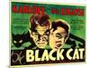 The Black Cat, Boris Karloff, Bela Lugosi, 1934-null-Mounted Photo