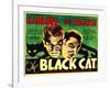 The Black Cat, Boris Karloff, Bela Lugosi, 1934-null-Framed Photo