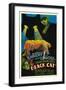 The Black Cat, Boris Karloff, Harry Cording, Jacqueline Wells, Bela Lugosi, 1934-null-Framed Premium Giclee Print