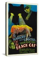 The Black Cat, Boris Karloff, Harry Cording, Jacqueline Wells, Bela Lugosi, 1934-null-Stretched Canvas