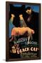 The Black Cat-null-Framed Poster