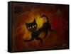 the black cat-Rabi Khan-Framed Stretched Canvas