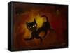 the black cat-Rabi Khan-Framed Stretched Canvas