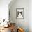 The Black Cat-Jason Pierce-Framed Art Print displayed on a wall