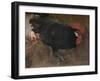 'The Black Cock', c1894-Joseph Crawhall-Framed Giclee Print