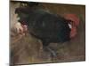 'The Black Cock', c1894-Joseph Crawhall-Mounted Giclee Print